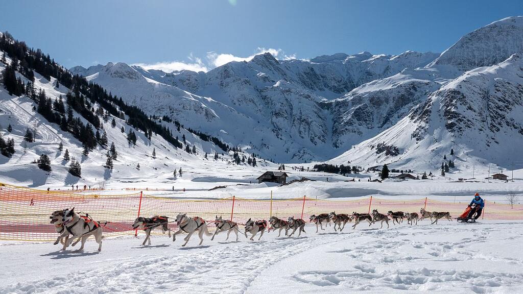 Schlittenhunde-WM in Sportgastein, Samstag