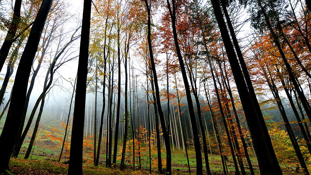 20121022_PD7897.HR.jpg