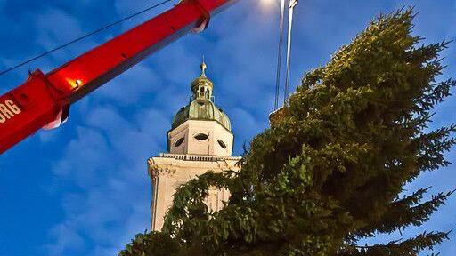 Christbaum ist angekommen