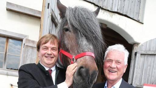 Wahlkampf des Team Stronach
