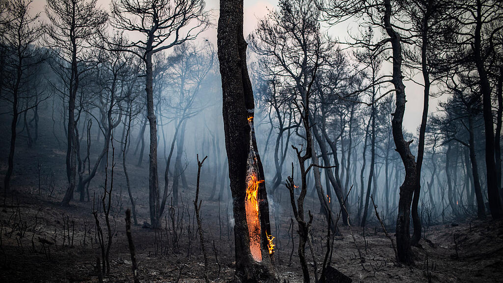 Feuer auf griechischer Insel