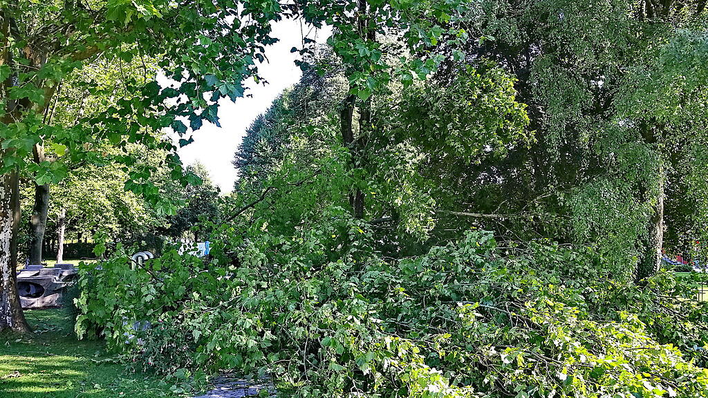 lepi unwetter schäden