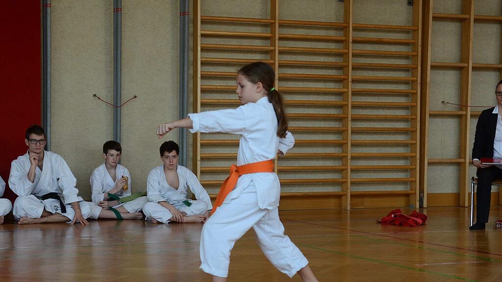 Karate-Landesmeisterschaften in Henndorf