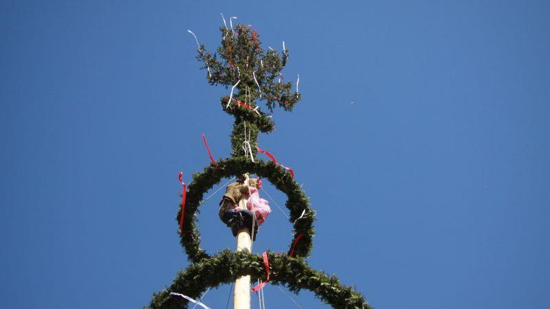 Maibaumaufstellen in Hof