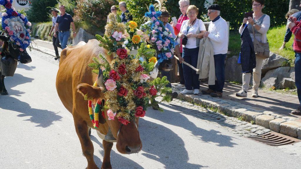 Bauernherbst-Fest in Krimml