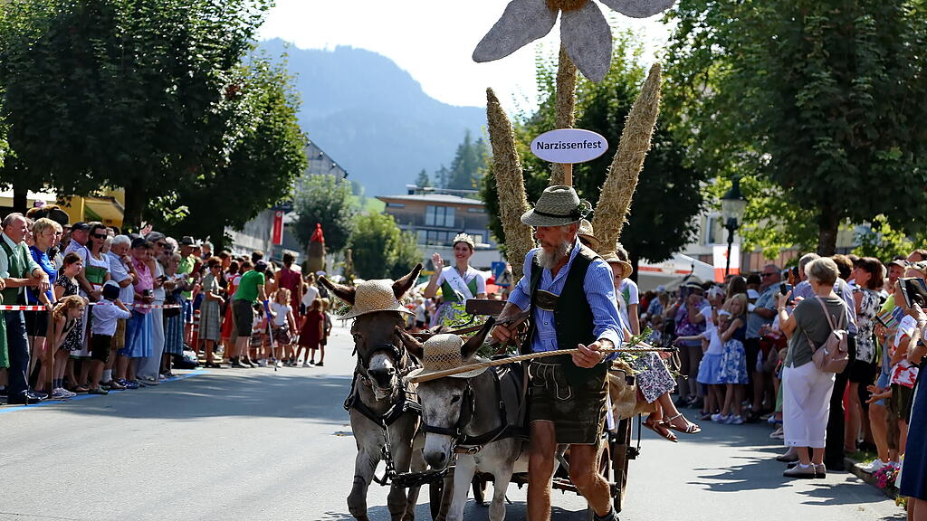 HeuART-Fest in Abtenau