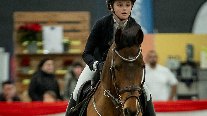Amadeus Horse Indoors 2023