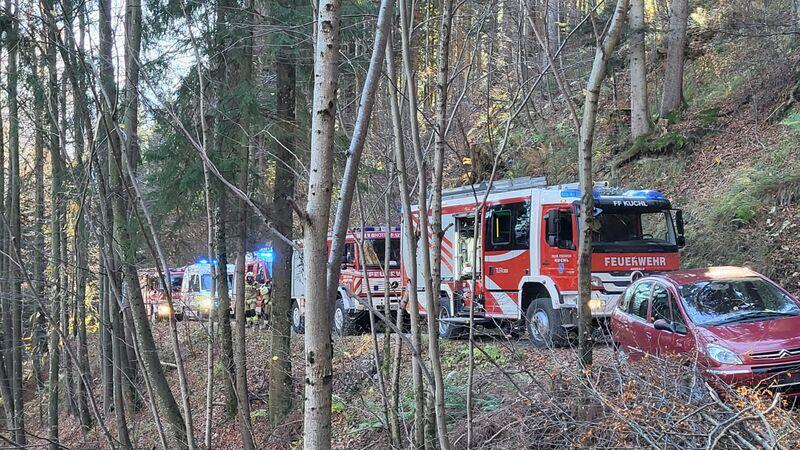 Forstunfall in Kuchl fordert Schwerverletzten