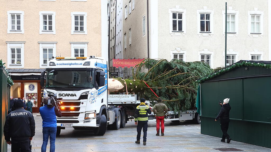 Baum am Christkindlmarkt eingetroffen II