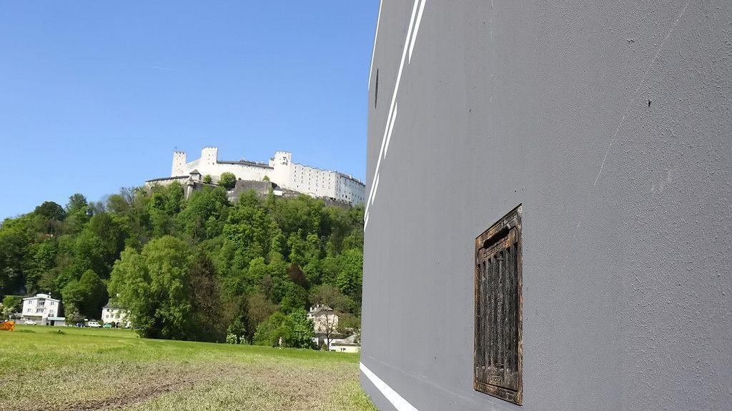 "Rüben" am Krauthügel