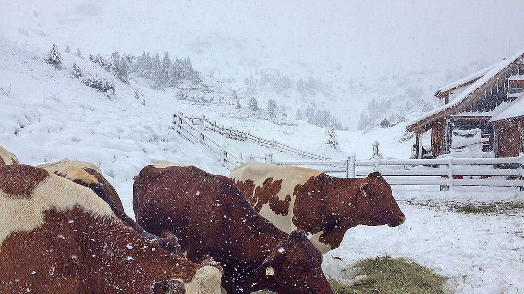 Wintereinbruch im August