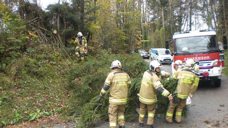 Einsätze in Thalgau