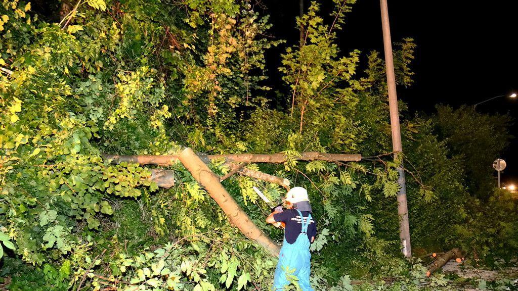 Sturm: Feuerwehren in Salzburg im Großeinsatz