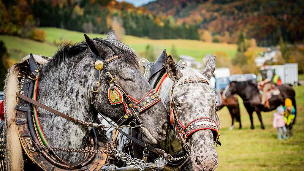 Leonhardiritt Faistenau