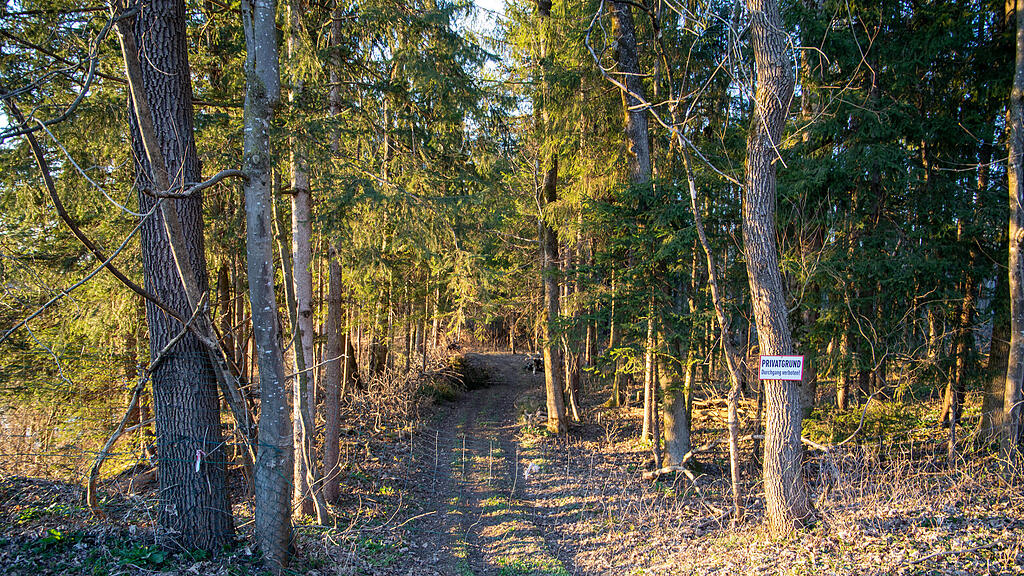 symb_Wald_Salzburg