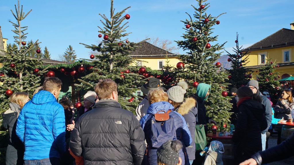 Impressionen der Weihnachtsmärkte