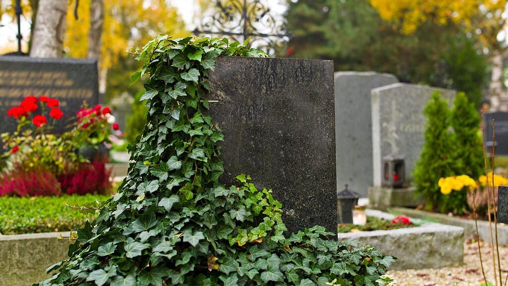 Nach den bislang unbekannten Vandalen wird gesucht.