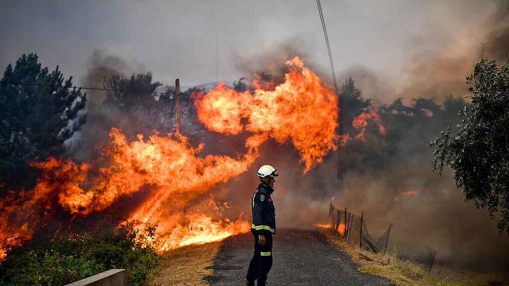 Im Juni starben 64 Menschen bei Waldbränden in Portugal.