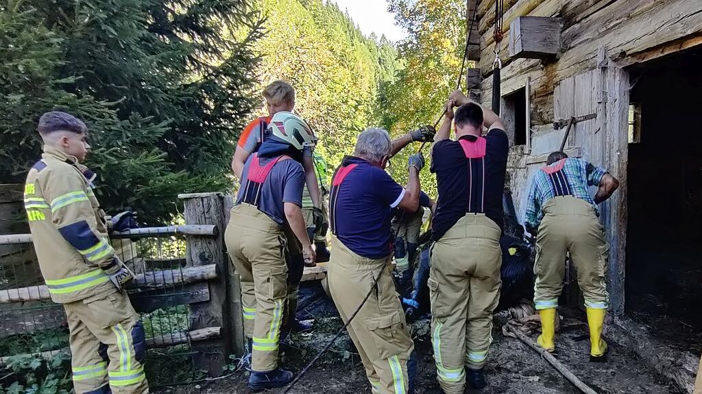 Kuh in Pfarrwerfen aus Jauchegrube gerettet
