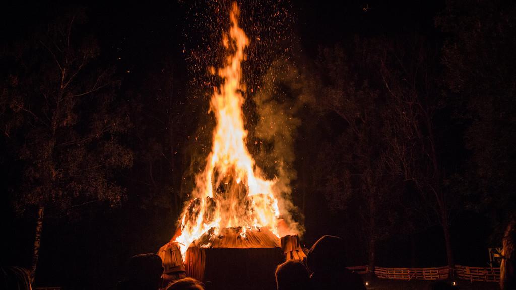 Burning Animal II