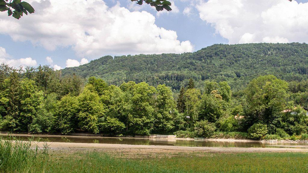 Verlandeter Weiher in St. Jakob am Thurn