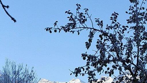 Frost am Morgen