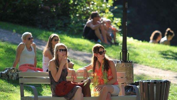 Picknick im Park