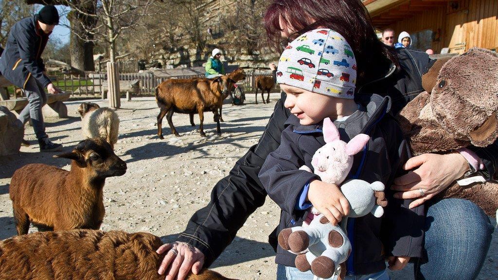 Frühlingserwachen im Salzburger Zoo
