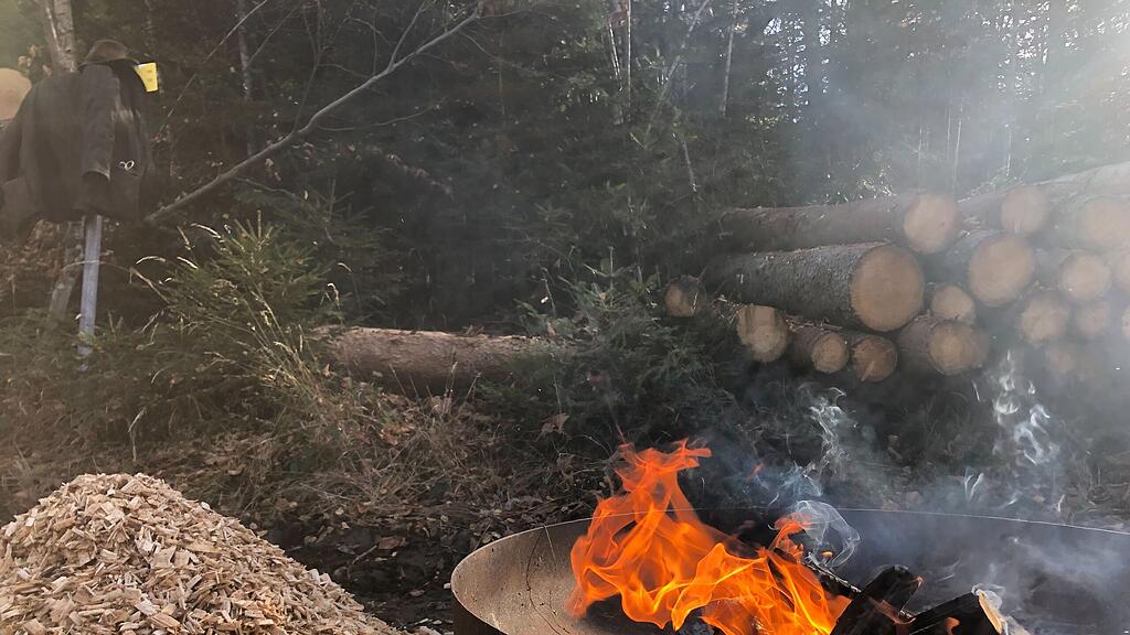 symb_wald; symb_holzarbeiten; symb_holz