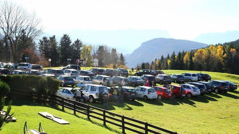 Charity-Walk am Gaisberg