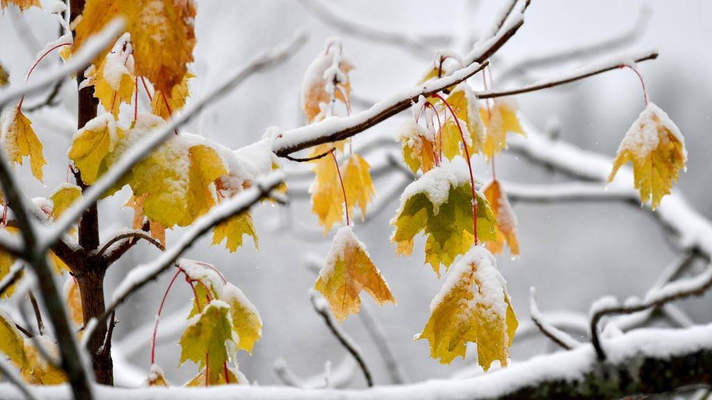 Schneebilder aus Krispl