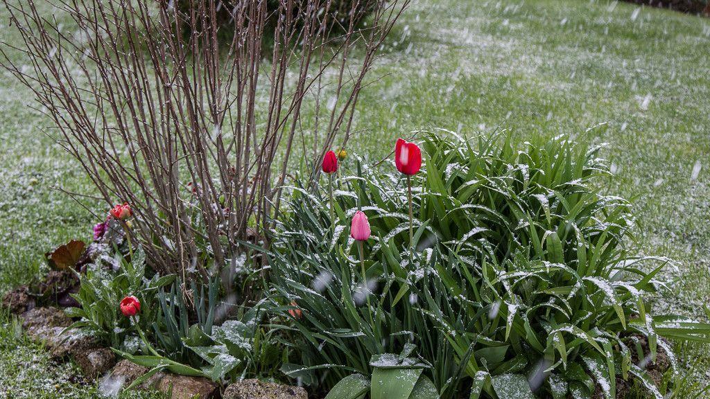Winterliches Aprilwetter in Salzburg