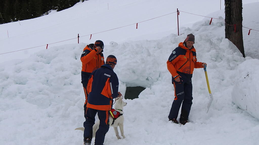 Lawinenhunde Bergrettung Training