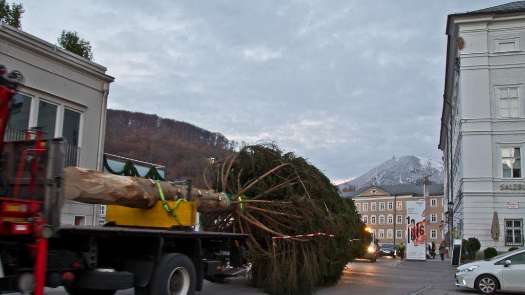 Christbaum ist angekommen