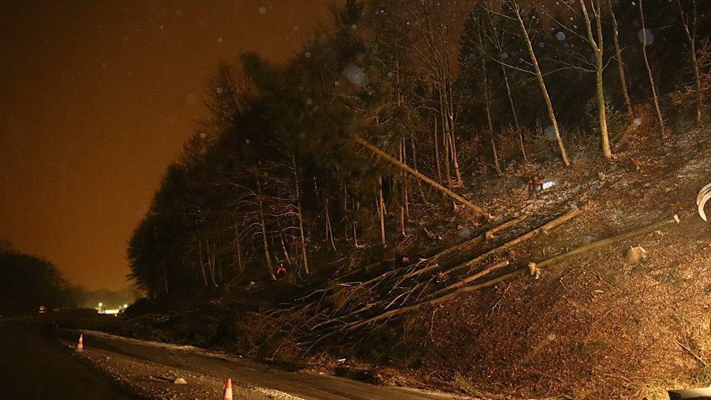 Rodungsarbeiten an der A1