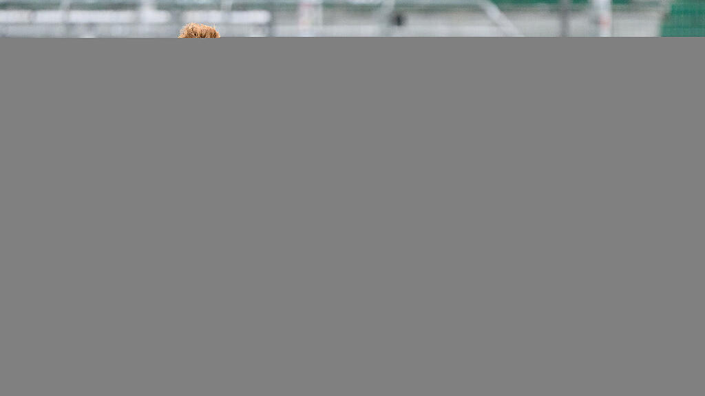Red Bull Salzburg, Rapid Wien, Bundesliga