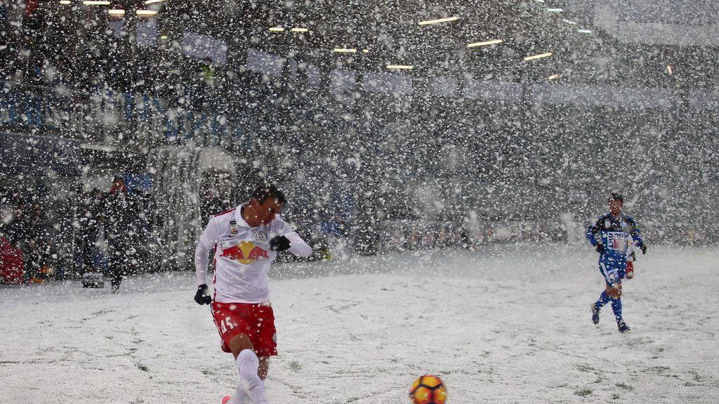 FC Liefering - Wr. Neustadt: Spielabbruch