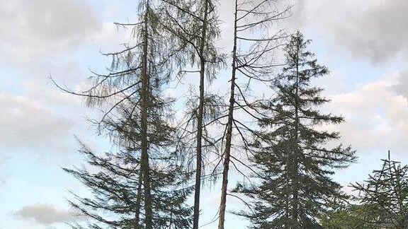 Bilder der Bergung Untersberg