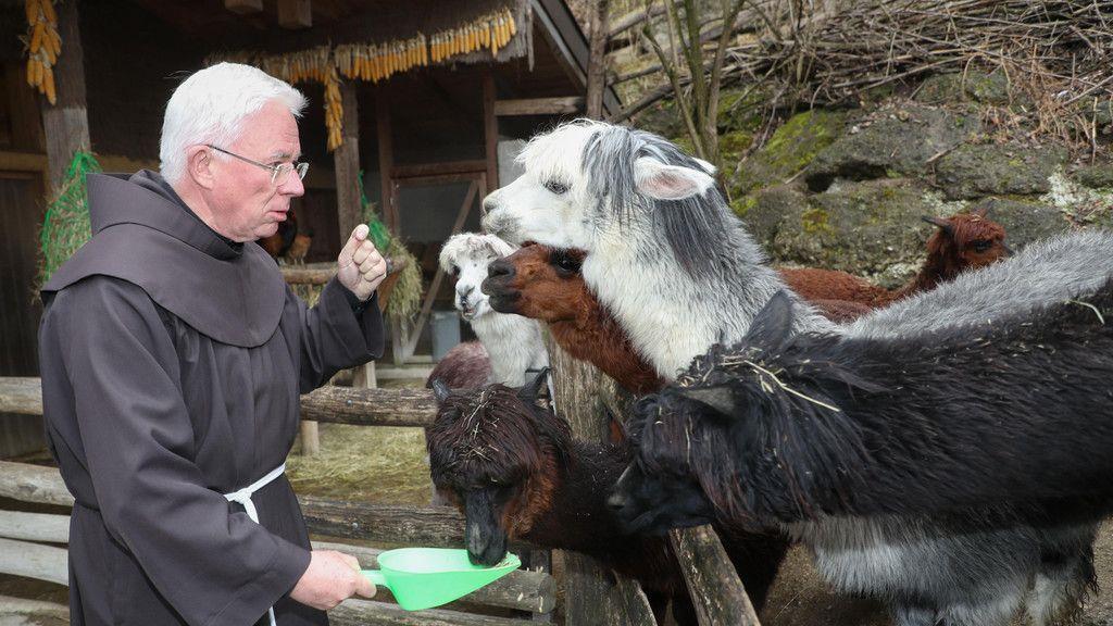 Zoo Salzburg: Erzbischof Lackner besucht Alpakas