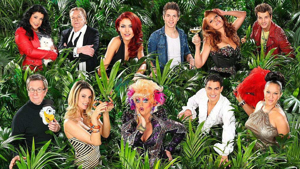 Diese elf Kandidaten nehmen am Dschungelcamp 2013 teil.