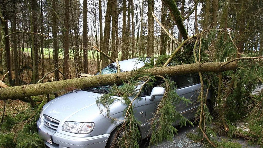 Niklas: Baum an L207 stürzt auf Pkw