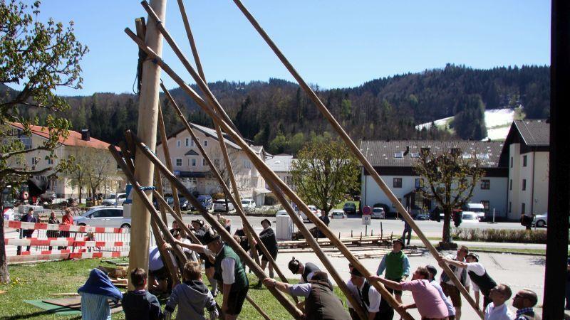 Maibaumaufstellen in Hof
