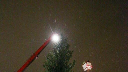 Windböe fällt Christbaum