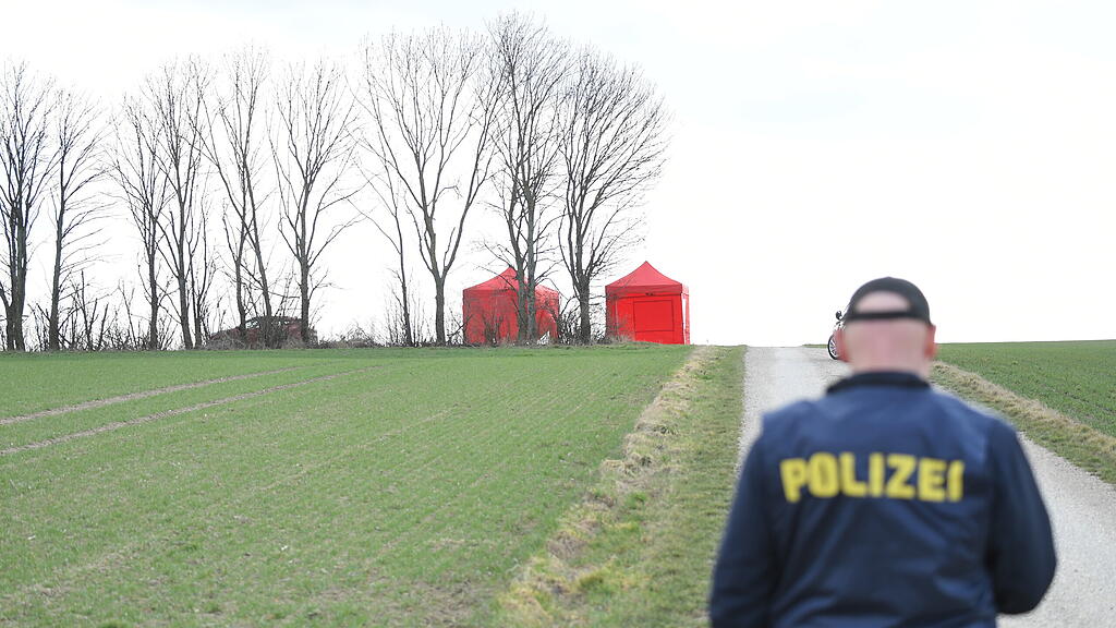 Mutter und Sohn tot in Mistelbach