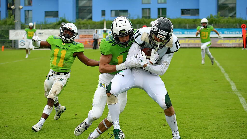 Salzburg Ducks, Danube Dragons