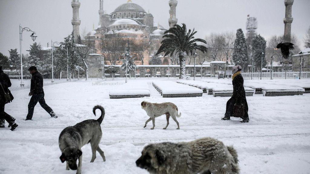 Schneefälle legen Istanbul lahm