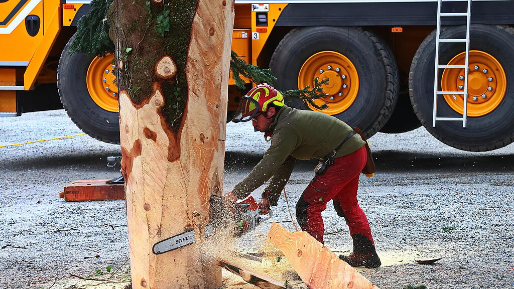 Baum am Christkindlmarkt eingetroffen II