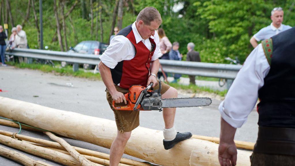 Maibaumaufstellen in Leopoldskron