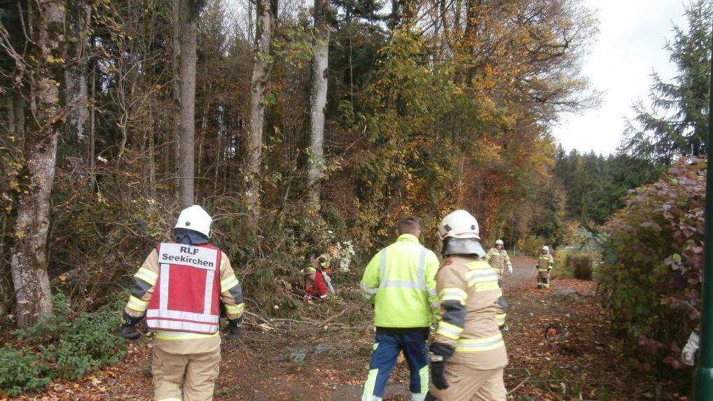 Einsätze in Seekirchen