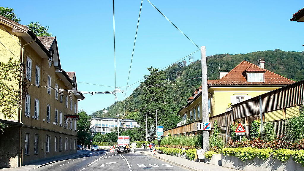 Steinlechner, Archiv
